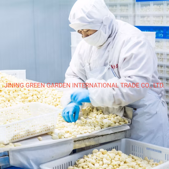 Salted Garlic Cloves / Garlic Cloves for Sale / Garlic in Brine