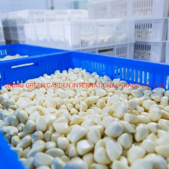 Salted Garlic Cloves / Garlic Cloves for Sale / Garlic in Brine