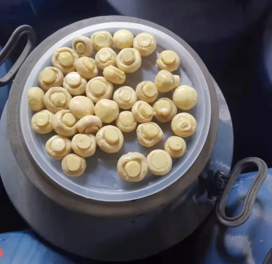 Rebanada de champiñones enlatados