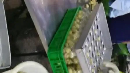 Champiñones en conserva, Frutas enlatadas, Verduras enlatadas, Champiñones en So2, Champiñones en salmuera, Champiñones en vinagre