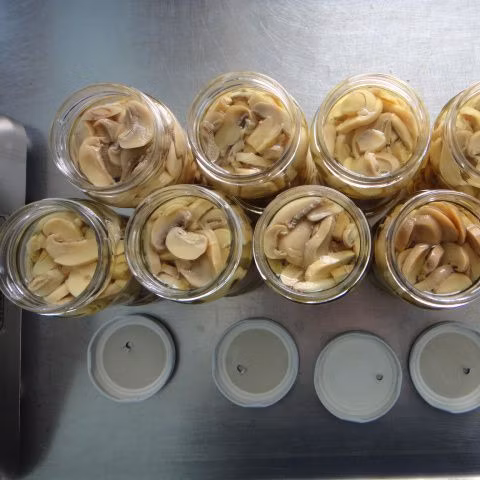 Rebanada de champiñones enteros enlatados de buena calidad en alimentos enlatados de China