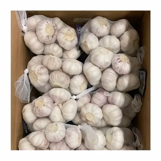 Nuevo Venta al por mayor Jiangsu buen precio de exportación Solo pelado puro fresco seco Normal/súper blanco ajo deshidratado